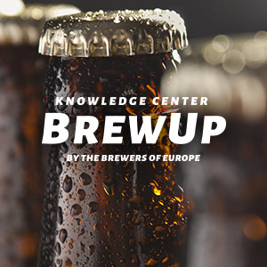 Briefing document on beer advertising in Europe